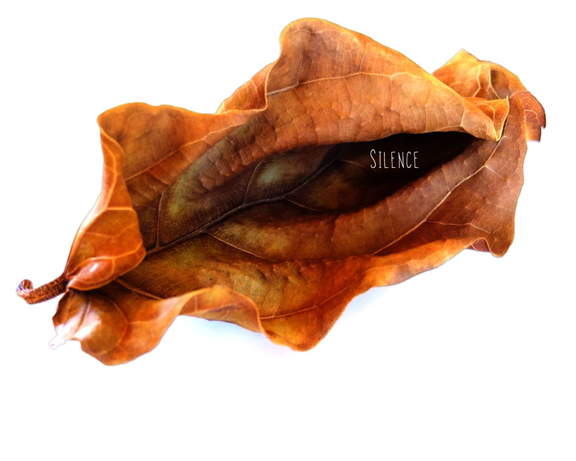 Silence © Yvonne Cornell, 2012 