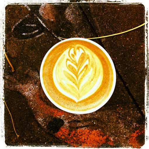 Blue Bottle, © YvonneCornell 2012