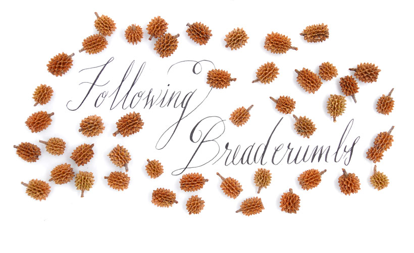 Why Follow Breadcrumbs?