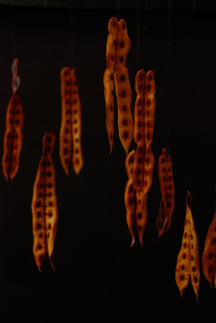 Floating © Yvonne Cornell 2013