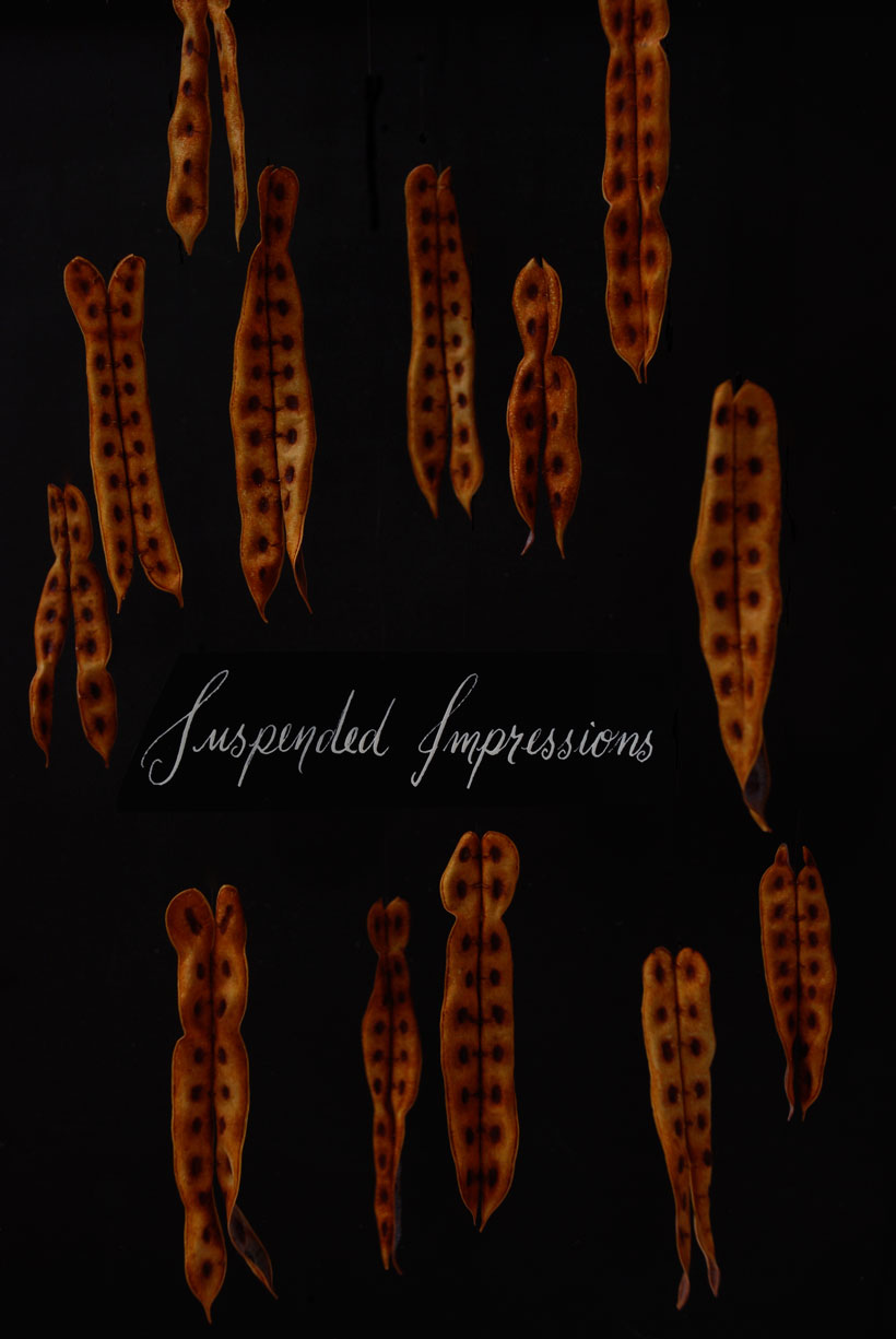 Suspended Impressions