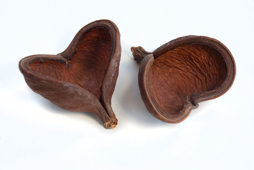 Mirrored Hearts © Yvonne Cornell 2013