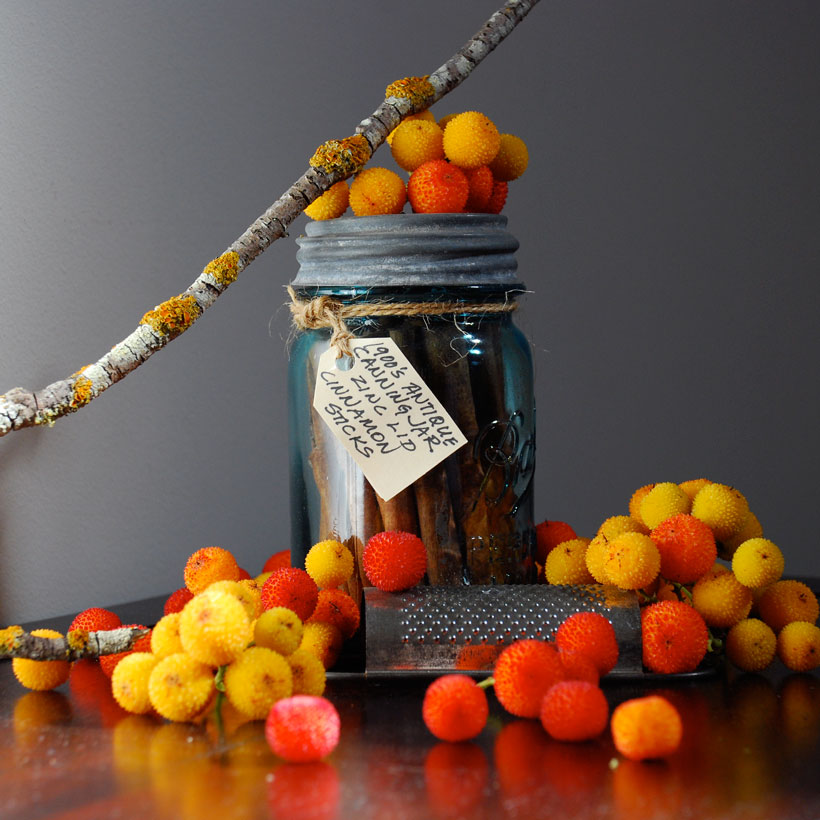 Collecting © Yvonne Cornell 2013