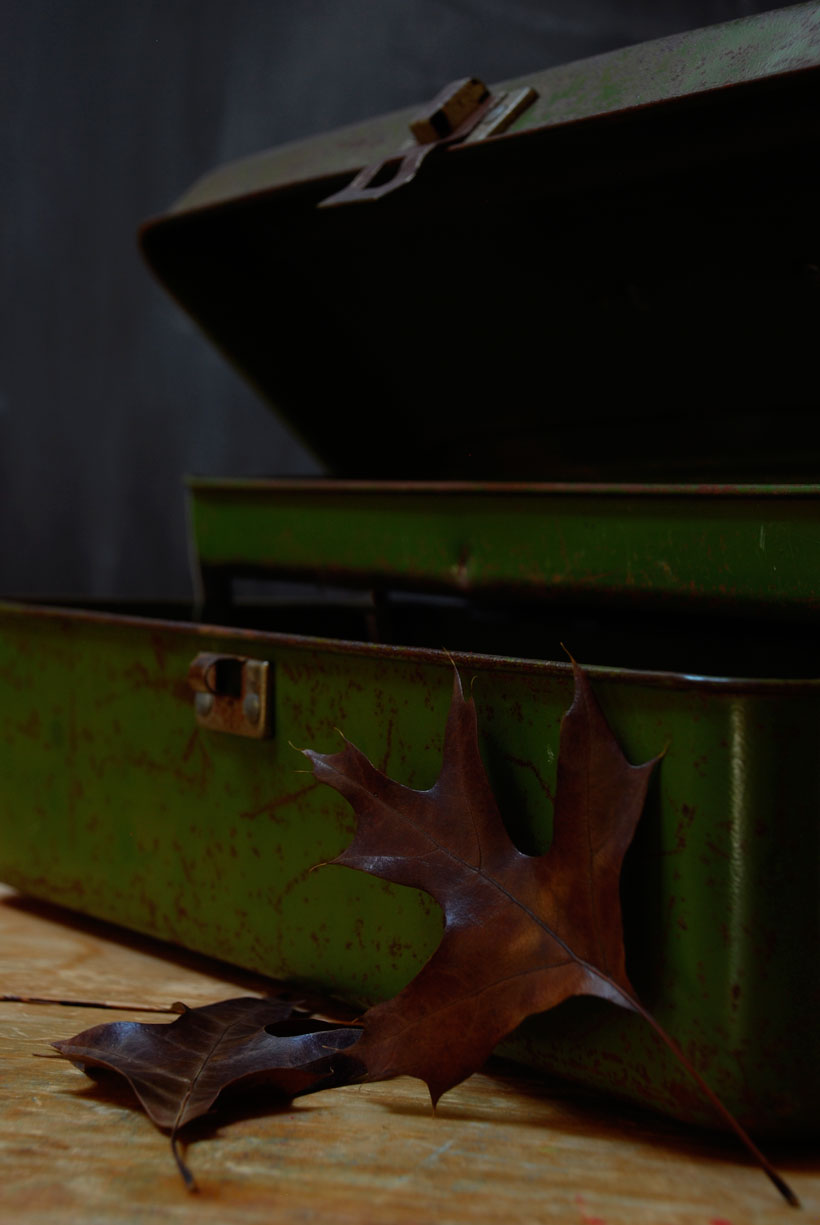 Fall's Brown Burnish