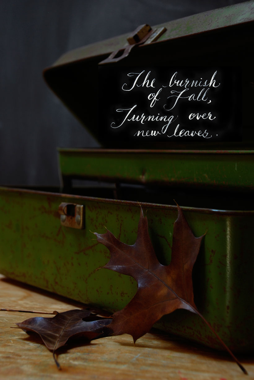 The Burnish of Fall © Yvonne Cornell 2013