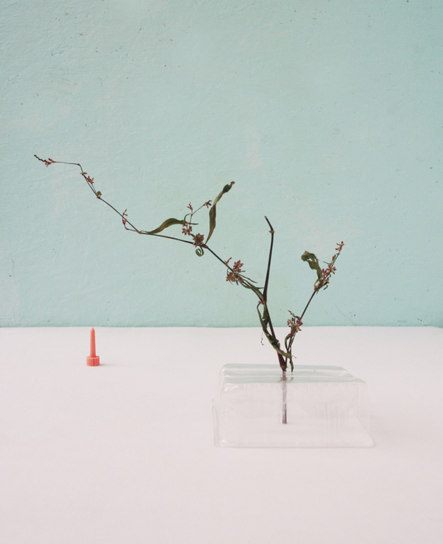 © Margo Maria Weijer 2012