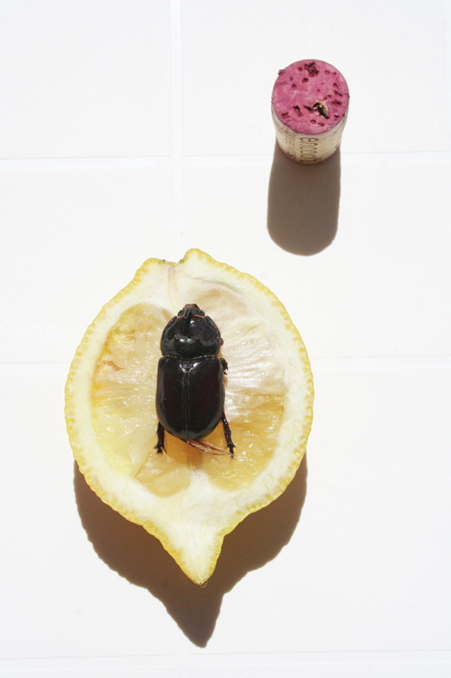 © Margo Maria Weijer 2013