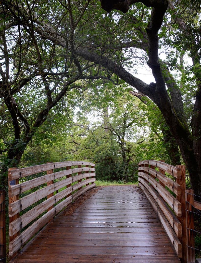 bridgewalk