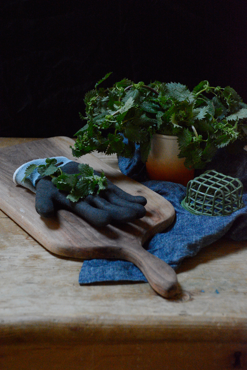 Stinging nettles in winter, really!?