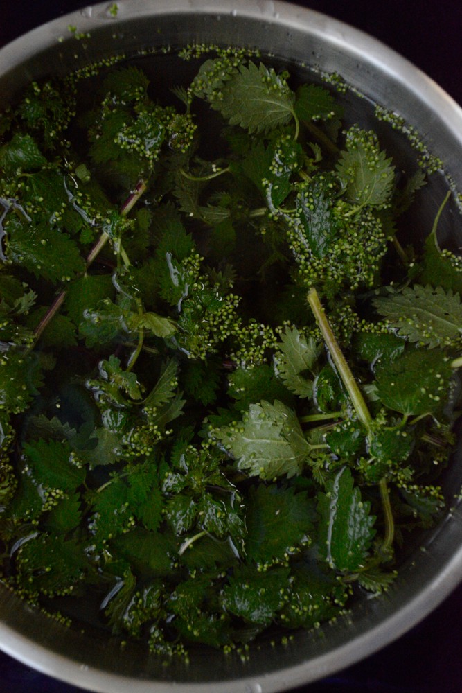 Nettle-Prep