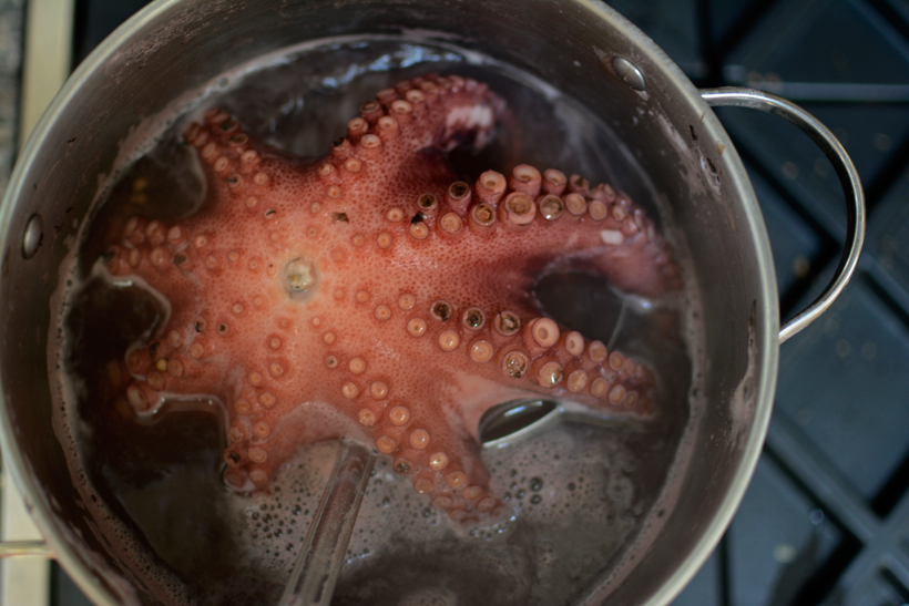 Octopus-Boiling
