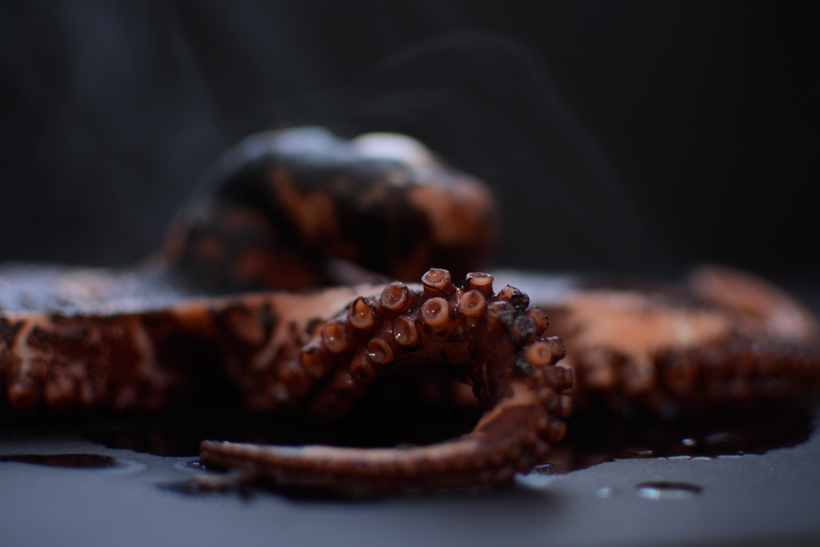 An Octopus Encounter