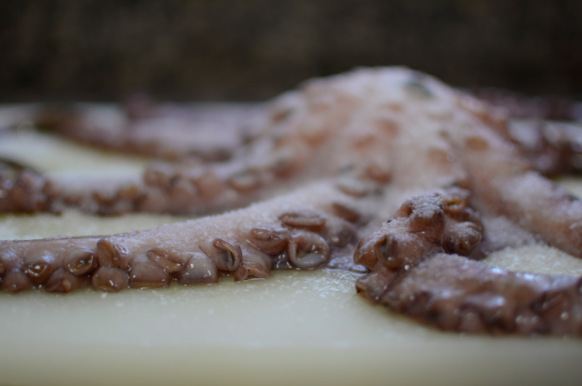 Octopus-Salted