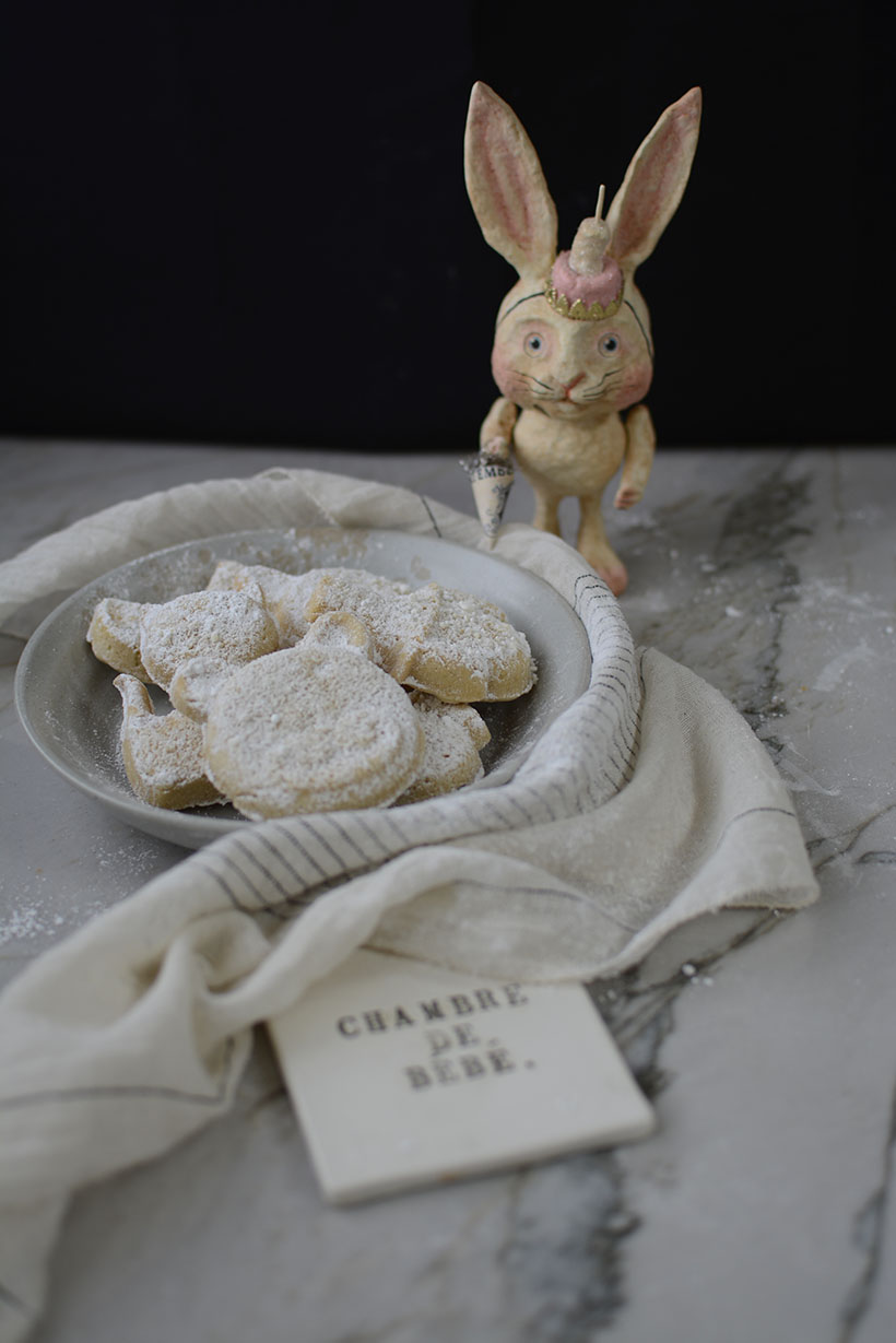 Rabbit