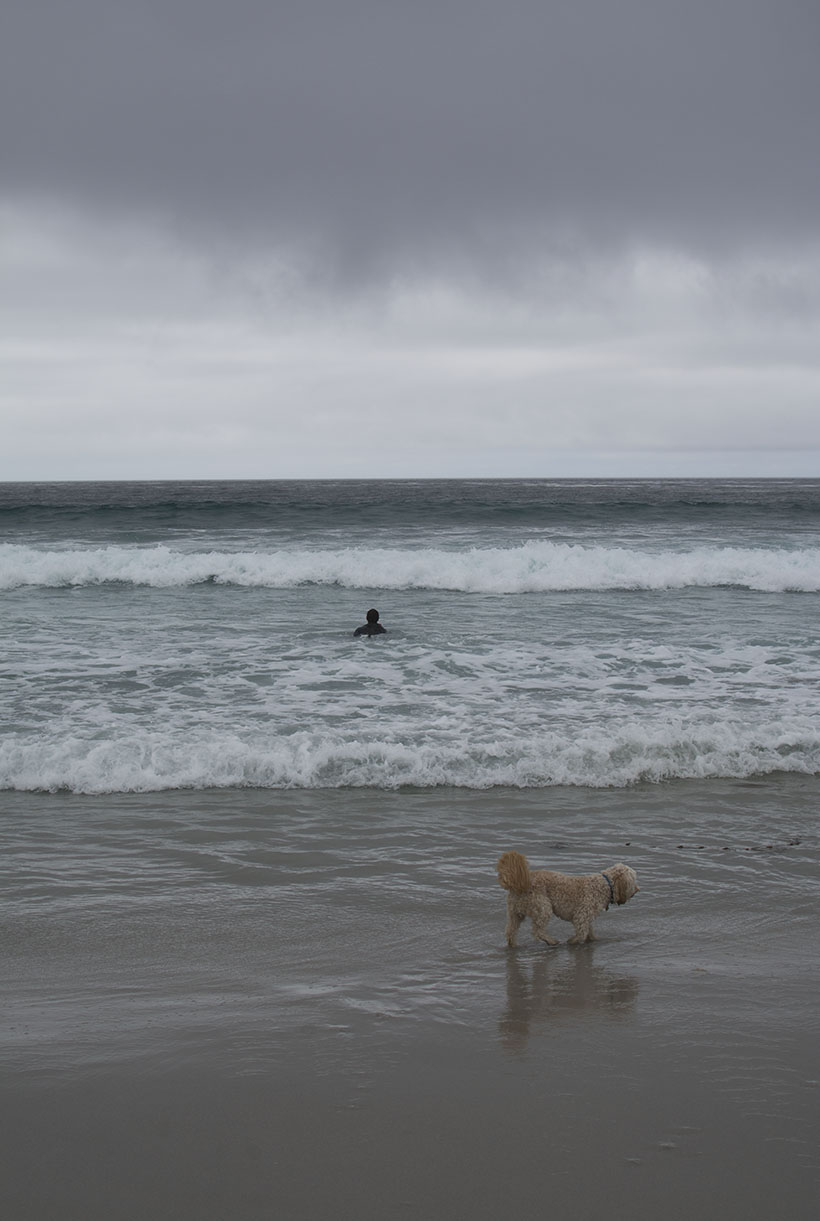 Carmel Body Surfing
