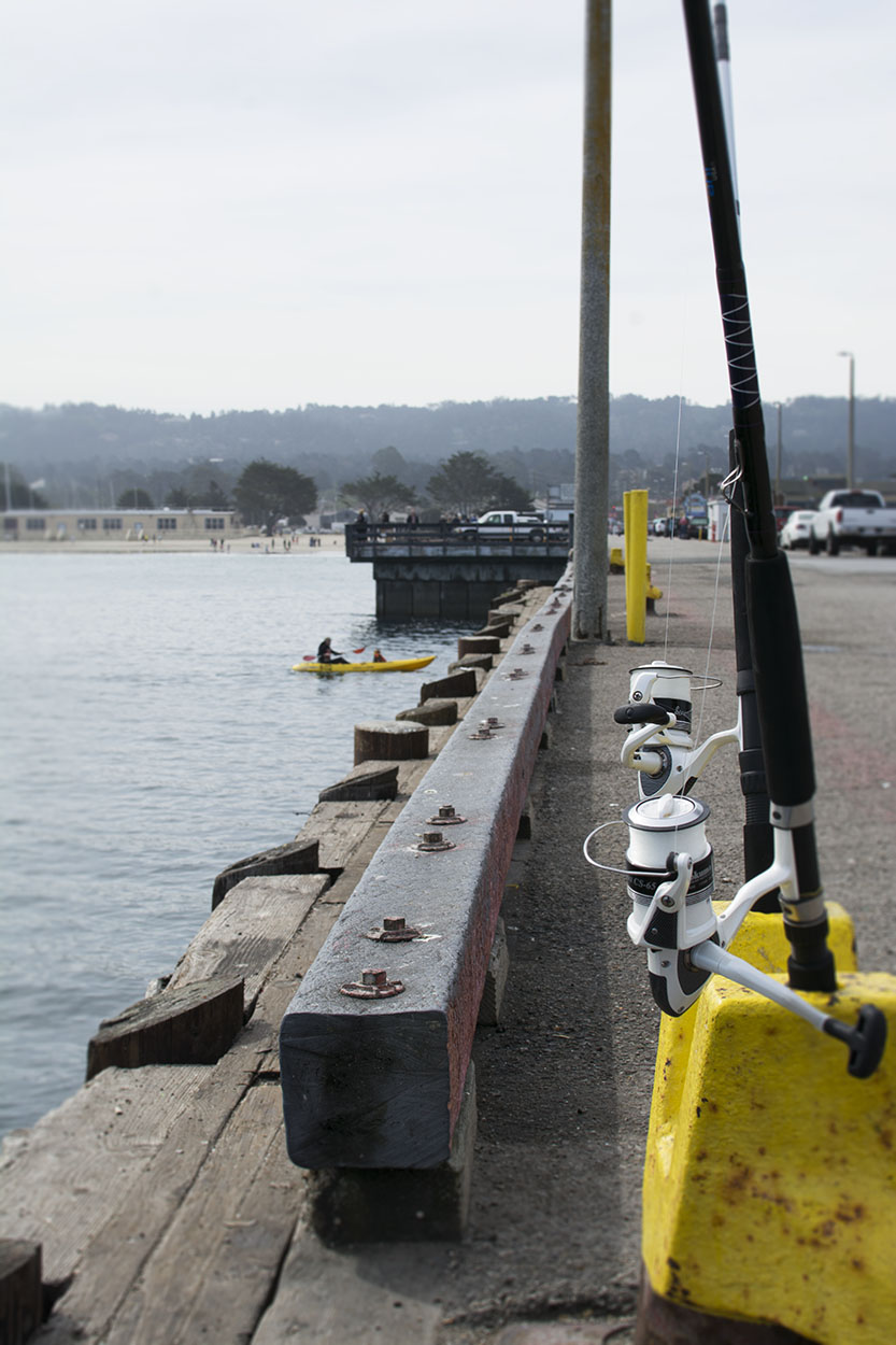 Pier Fishing Rods