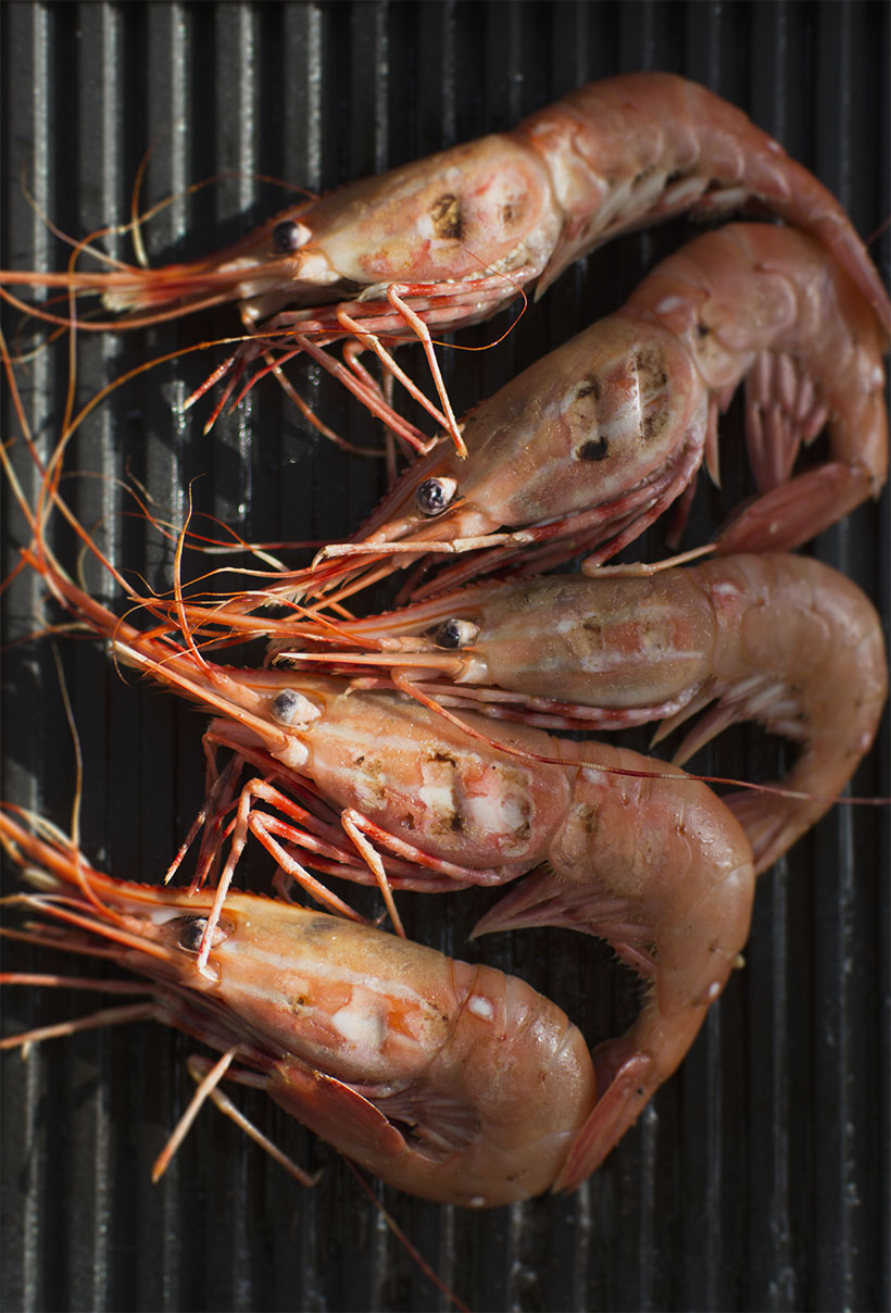 Spot Prawns on Grill