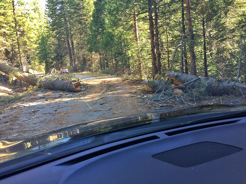 Blocked Roads