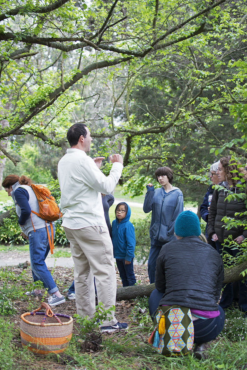 Edible Wild Urban Foods