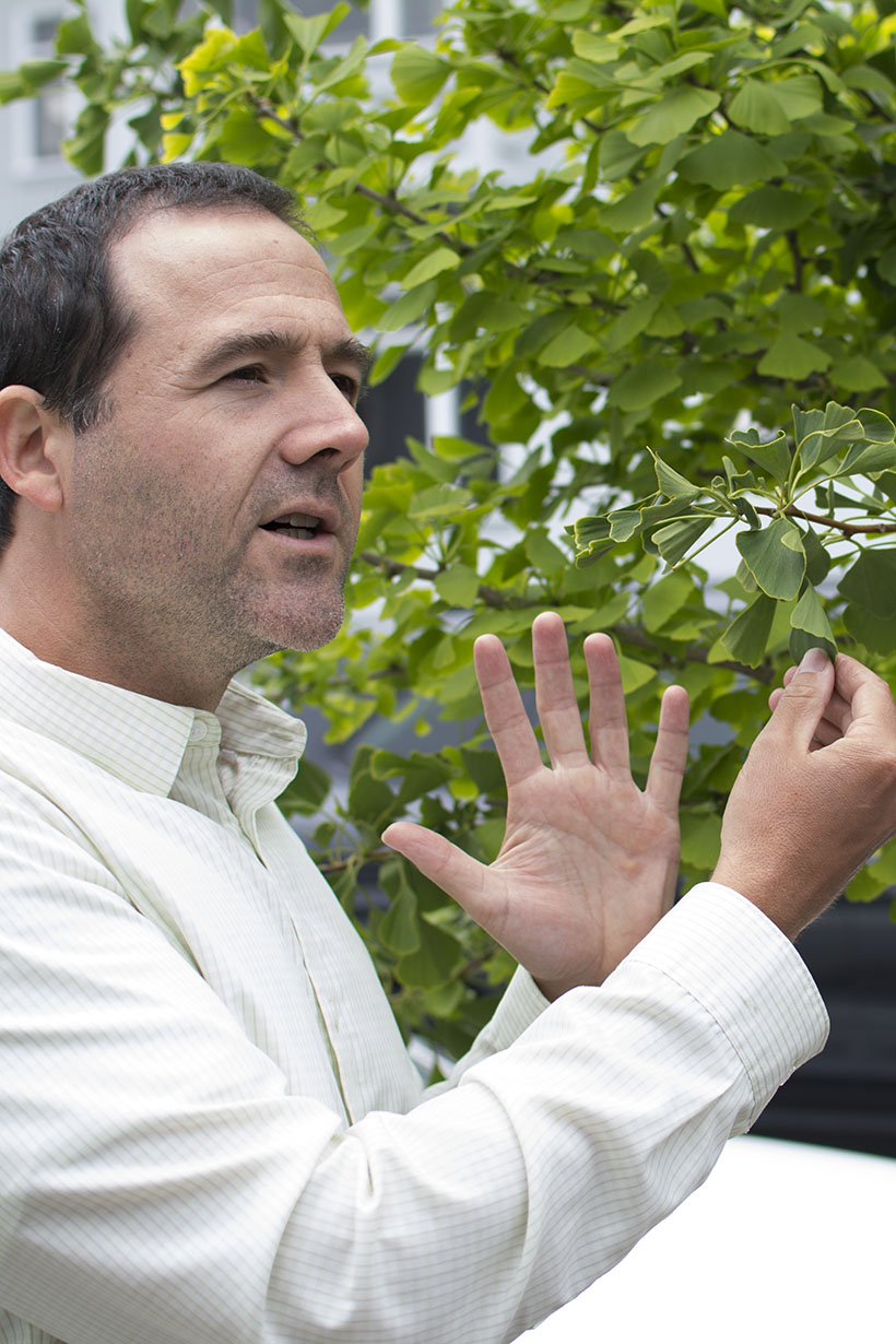 Kevin Feinstein Forager