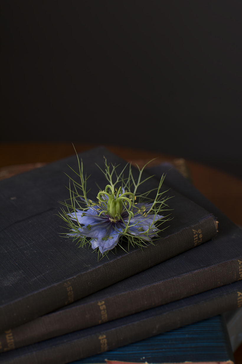 Blue Flower
