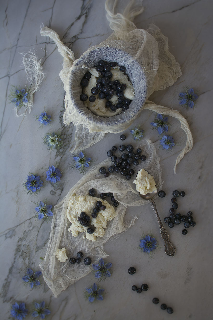 Blueberries Overhead