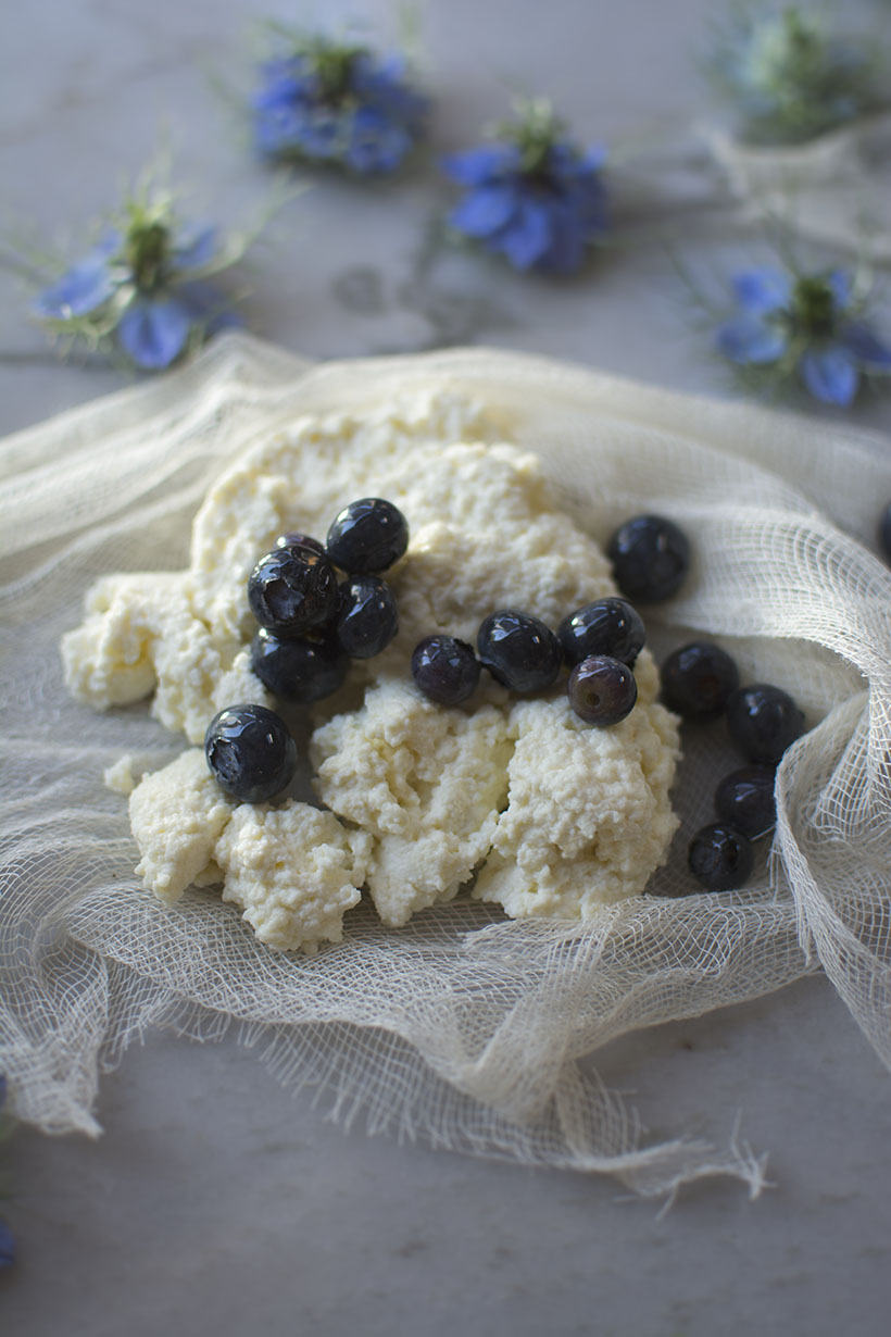Ricotta on Cheesecloth