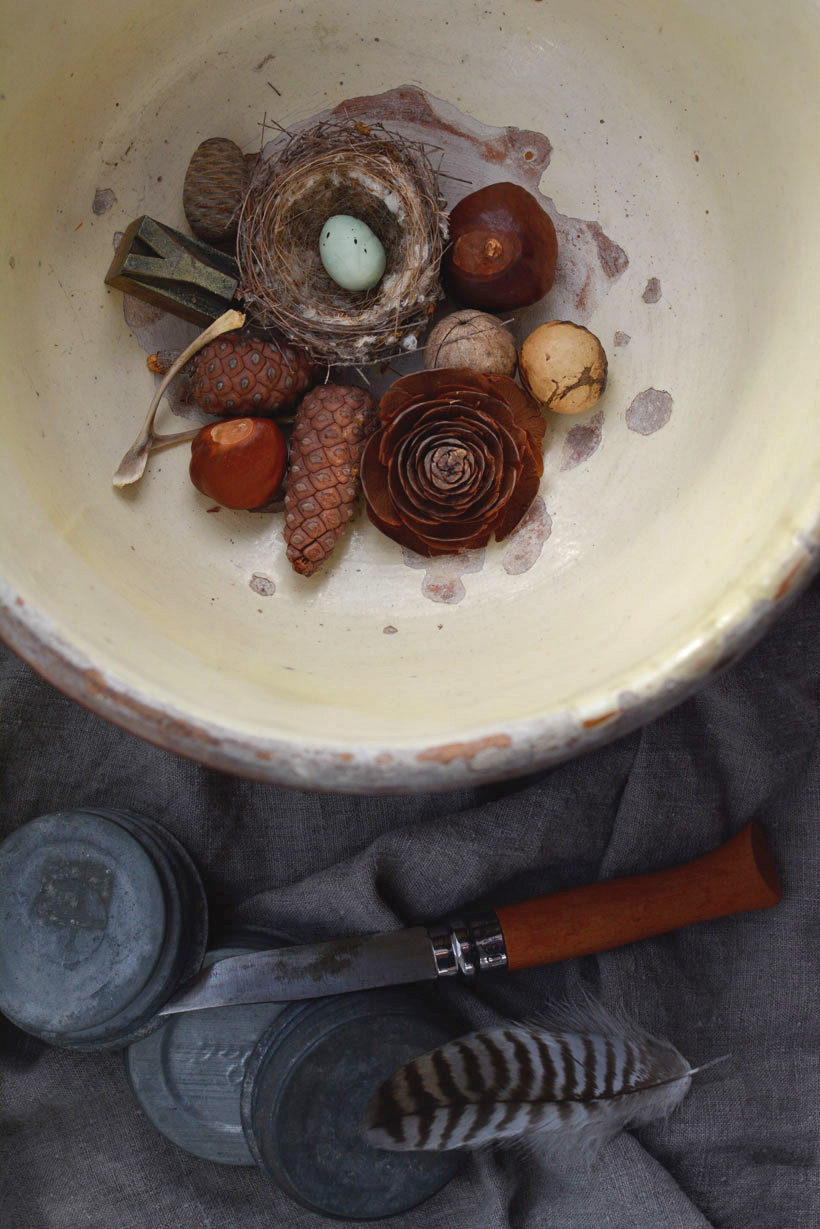 2015-Foraging-Reignited