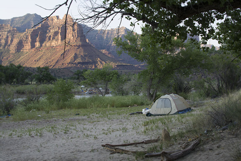 Camp site splendor