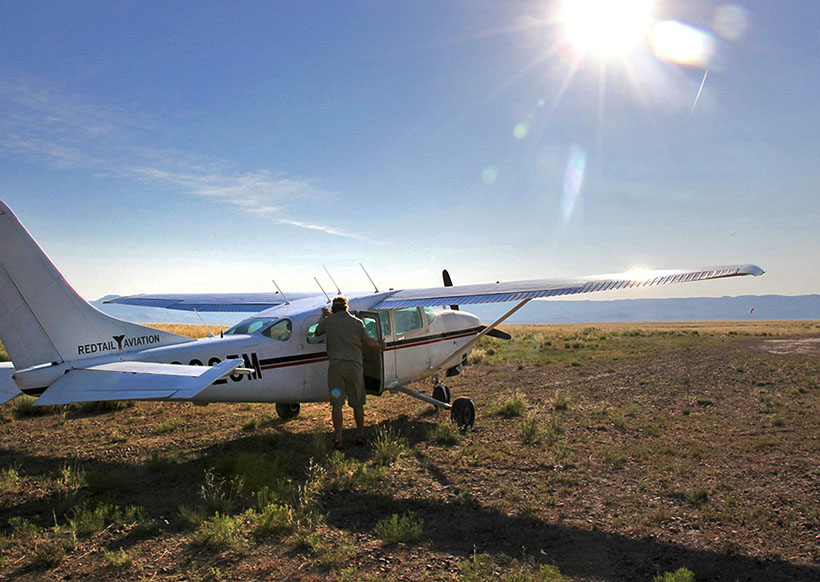 Cessna