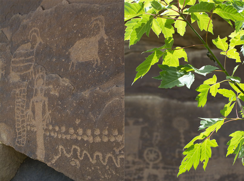 Petroglyphs