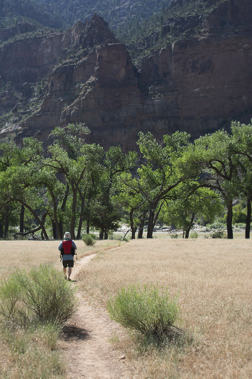 Trail to Cottonwoods
