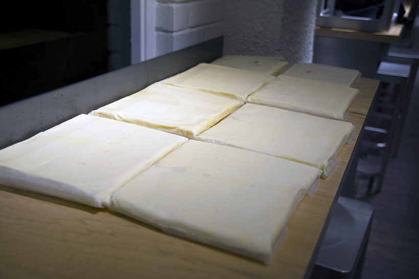 Dough Rising in Darkness