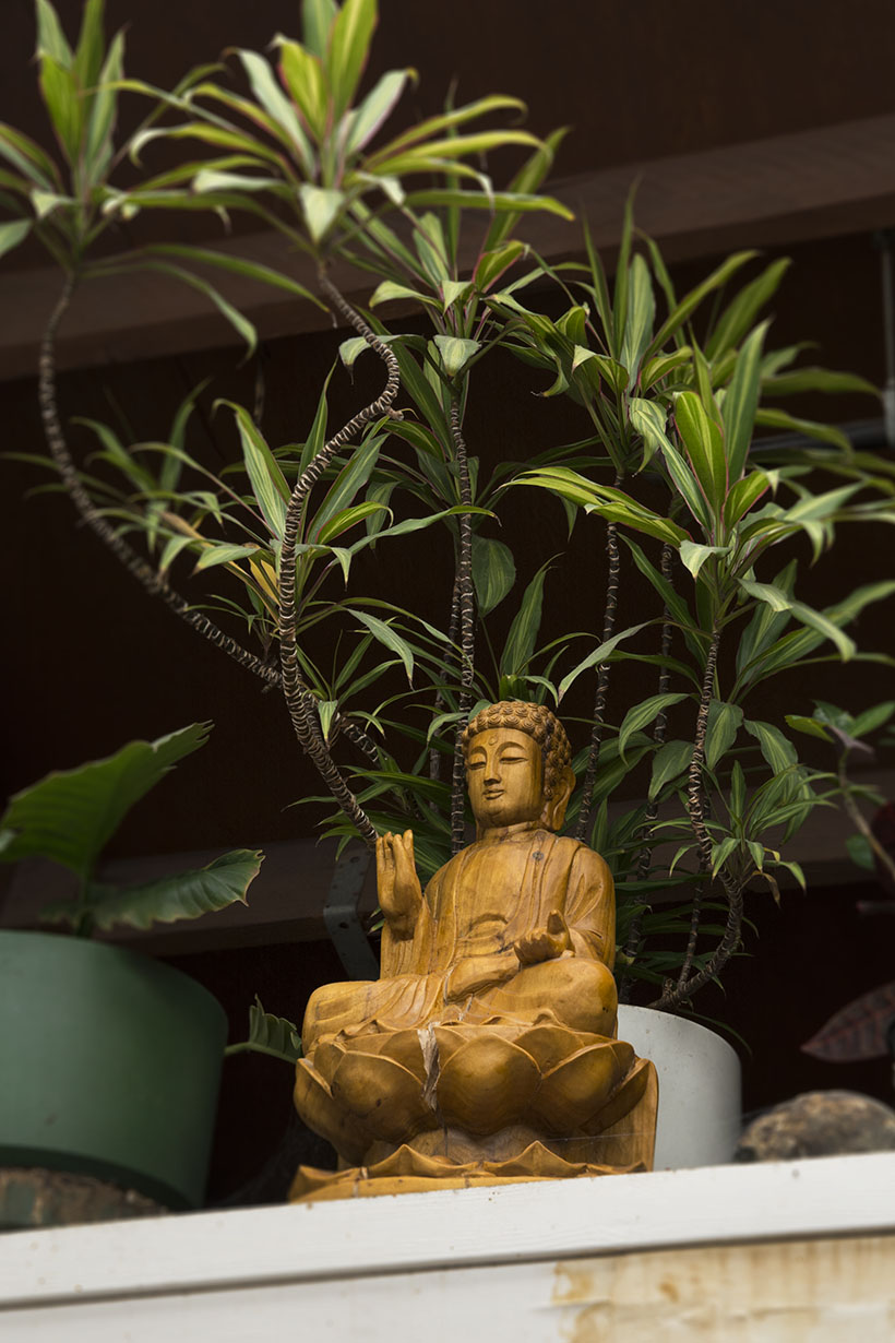 Martin's Buddha