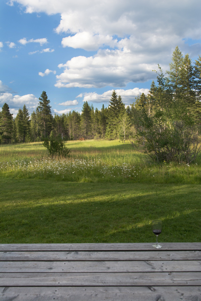 the-meadow-view